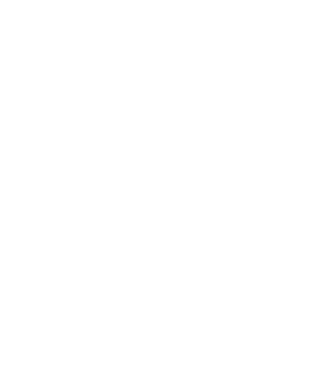 GSTC Italy Working Group